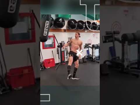 ЗЛАТАН ИБРАГИМОВИЧ В