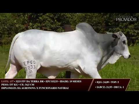 LOTE 157   EPCO 3233