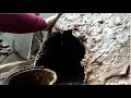 إعداد الكانون البلدي لتحضير الكسكس و إصلاح الفرن البلدي بعد ما خربته الأمطار إعداد الكانون البلدي لتحضير الكسكس و إصلاح الفرن البلدي بعد ما خربته الأمطار