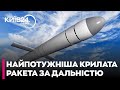 ⚡450 КІЛОГРАМІВ БОЙОВОЇ ЧАСТИНИ: що відомо про крилаті РАКЕТИ КАЛІБРИ - РИЖЕНКО