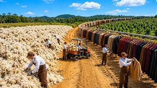 How Millions of Sheep Wool Become Luxury Winter Clothing Every Day | Full Factory Process