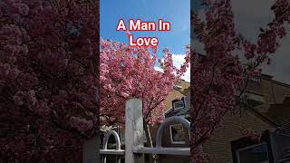 A Man In Love Morgan Heritage #reggae #oldfavourites #music #lovegardening #morganheritage #nature