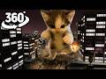 ScubaCat in Your Night City | ScubaCat meme | 360° VR