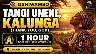 Oshiwambo Soft Praise & Worship | Tangi Unene, Kalunga (Thank You, God) | 1 Hour Namibian Gospel screenshot 2