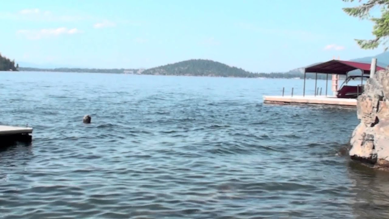 CDA lake house for sale lake views off the dock 2012 YouTube
