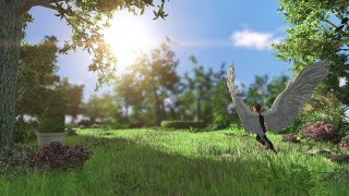 Angel Boy 3D Animation