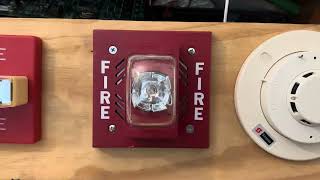Famous Simplex 4004 Test 6 Wealth