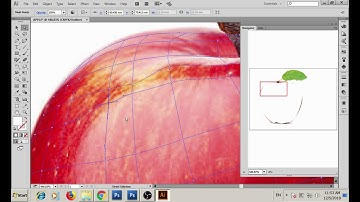 Adobe Illustrator: Using the mesh tool (Creating an apple) Tutorial # 09