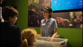 Day in The Life of Discovery Park of America