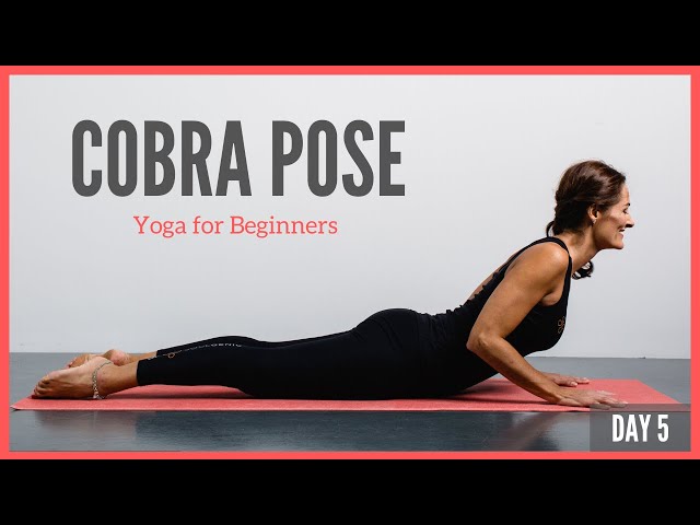 Yoga cobra pose or bhujangasana woman practicing Vector Image