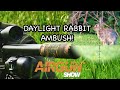 The Airgun Show | Daytime rabbit hunting | Konus Eternity gunsight review