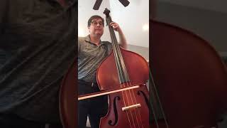 Celebrity Essential Elements Book 2 Bass #82 Hooked On D Major Wealth