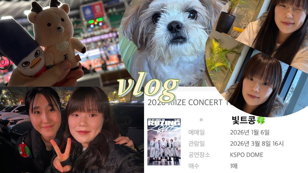 [브리즈 브이로그] 라이즈 콘서트 티켓팅❗🙏🏻 브이로그 • 라이즈 • 브리즈 • 일상 • 숑프 • 성찬 • 배구직관 • 정관장 • 티켓팅 • 멜론티켓 • 카페 