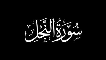 سورة النحل كاملة | القارئ جعفر السعدي | برواية ورش عن نافع | تلاوة عذبة  #قرآن #القرآن_الكريم