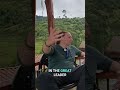 Ditch the Cult Retreats: Let Ayahuasca Guide You! #shorts