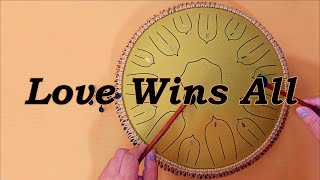 Love Wins All (IU) - Steel Tongue drum / tank drum cover with tabs