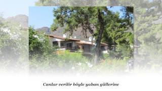 Hüseynî Fasli Seçmeler 1