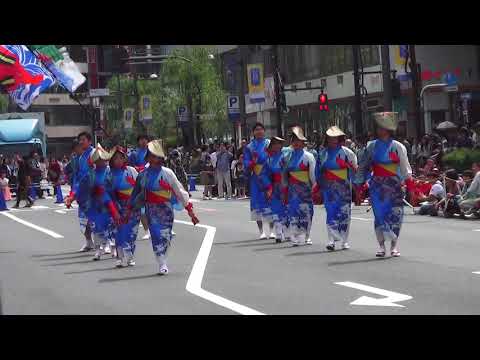 銀座柳まつり'19～伝統舞踊広場～ まるごと高知オフィシャルチーム - 正調よさこい