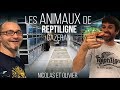 Les animaux de Reptiligne Gazeran - Visite / Anecdotes / Fou rire - Juillet 2017