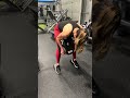 Chantel Souza somersault squats for finisher #npc #bikini #quads #legs #fitness