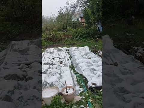 перенос новогодних праздников