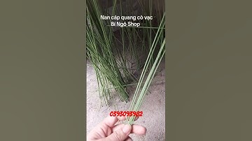 Nan cáp qung dinh cò vạc hiệu quả #xuhuong #bacbling #nancapquang #co