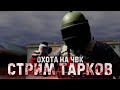 Тактики и стратегии выживания в опасном мире Escape from Tarkov. #тарков