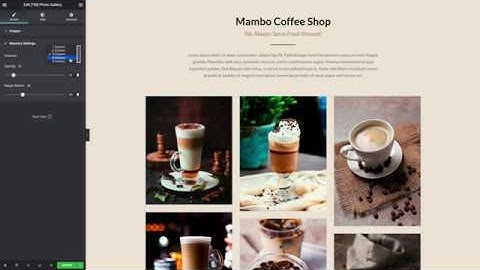 TM Elementor Addons - Photo Gallery