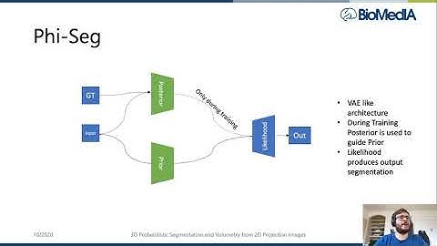 3D Probabilistic Segmentation and Volumetry from 2D projection images