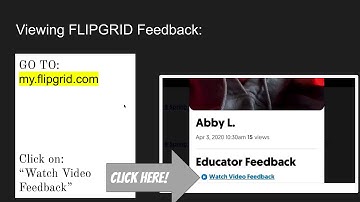 How to view flipgrid feedback