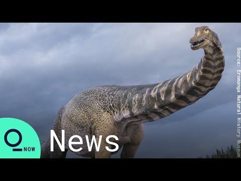 Video: Jutawan Australia Mahu Menghidupkan Semula Dinosaur - Pandangan Alternatif
