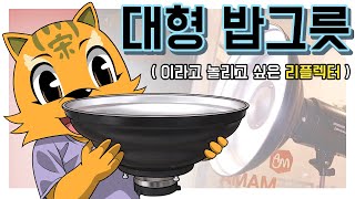 호루스벤누 웨이브 뷰티디쉬 보웬스 리플렉터 BW-D 시리즈 [카메라 샤닉] screenshot 3