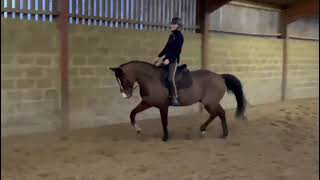 Ad ref 270373   Video 2