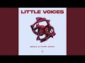 Little Voices Extended Mix mp3