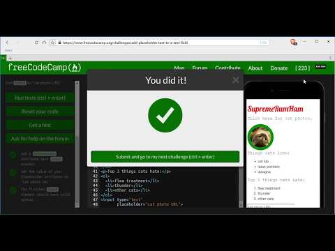 Add Placeholder Text to a Text Field- freeCodeCamp HTML5 and CSS lesson #27
