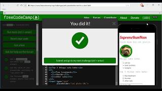 Add Placeholder Text to a Text Field- freeCodeCamp HTML5 and CSS lesson #27