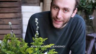 Something Fresh! How to arrange: Magnum blooms, solidago, LA lilies and pussywillow.