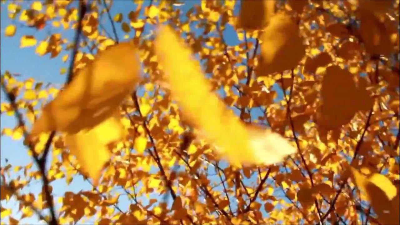 Мыс возвышавшийся над поверхностью озера был похож на утюг. Листья кружатся ностальгия. Сорванная с деревьев листва закружилась. Осенний листопад. Осень сентябрь.