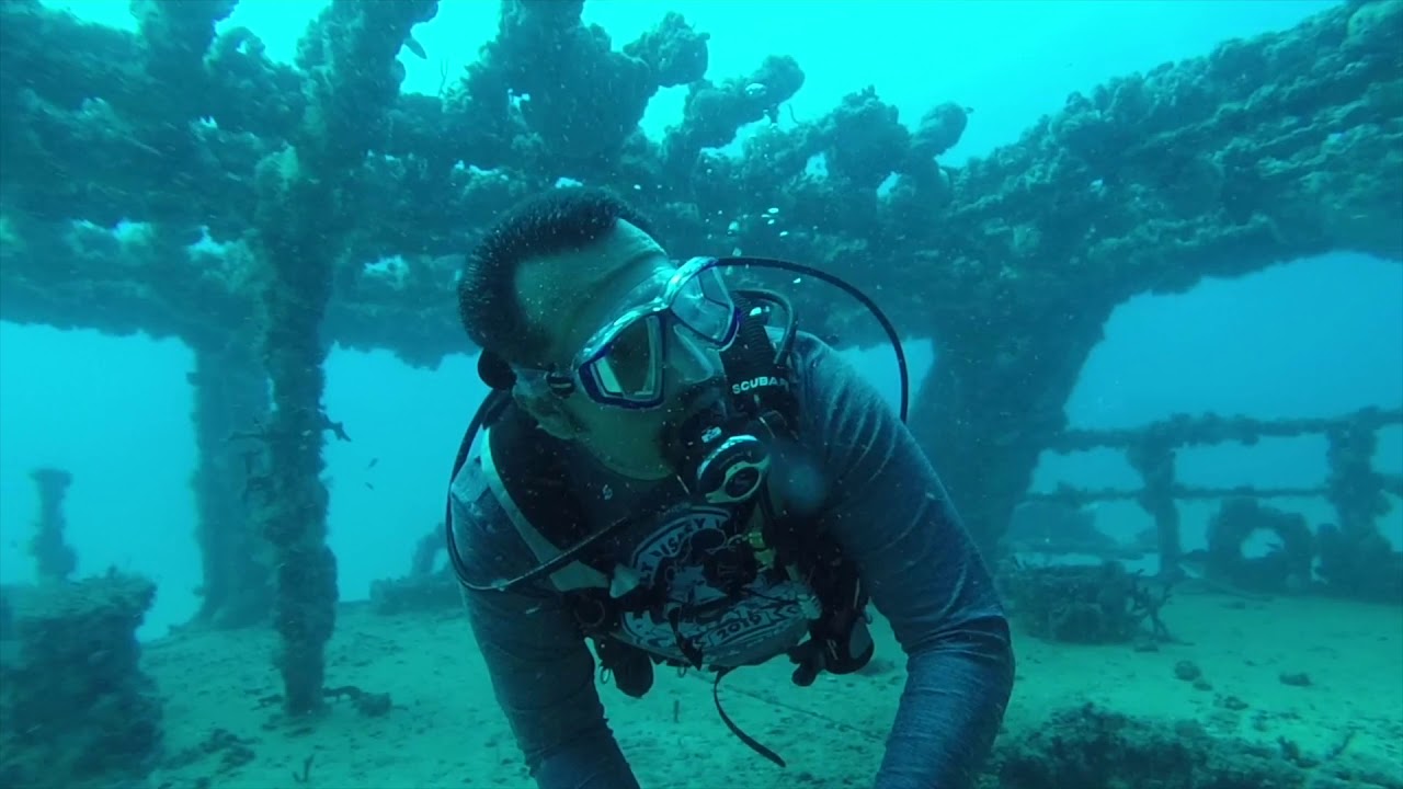 Scuba Diving Puerto Morelos Mexico. YouTube