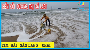 Dạo Quanh Lagi Bình Thuận Tìm Biển  Đồi  Dương Tân Thuận Xem Hải Sản Làng Chài