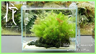 [ADAview] 水草本来の美しさを楽しむ佗び草水景 - Wabi-Kusa aquascape is to enjoy the true beauty of aquatic plants.