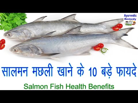 सालमन मछली के फायदे | Salmon Fish Benefits | The Amazing Benefits