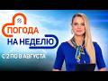До +27! Дожди и грозы | Прогноз погоды с 2 по 8 августа | Плюс-минус