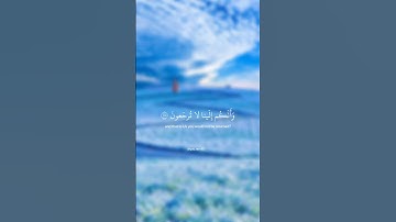 {أَفَحَسِبْتُمْ أَنَّمَا خَلَقْنَاكُمْ عَبَثًا...} تلاوة خاشعة للقارئ الشيخ إسلام صبحي ✨