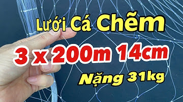 Lưới Cá Chẽm . Cao 3x200m 14cm - Cước 50 - Mắt Ngang ( Nặng 31kg ) . Hàng Thửa Theo Yêu Cầu VIP