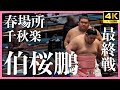 【伯桜鵬 - 千代翔馬】大相撲 春場所 千秋楽。最終決戦！【三月場所｜大阪場所 sumo】Hakuoho Osaka 2024