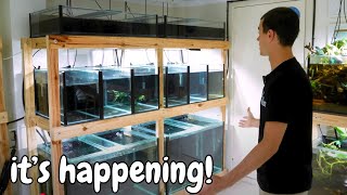 Creating the Perfect Fish Room | Expansion Project Revealed