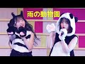 布袋百椛 センター AKB48 - 雨の動物園(Ame No Doubutsuen) [日本語字幕] [4K]