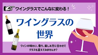 【11/24】ファンケルワイン定期便 オンラインセミナー「ワイングラスでこんなに変わる！ワイングラスの世界」