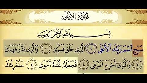 سورة الأعلى ١-٤ تكرار ٣ مرات